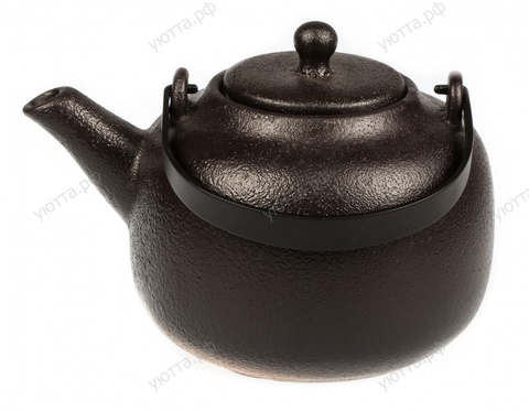 Чайник с ситечком Proff Cuisine 
