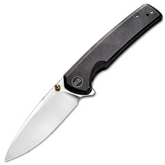 Фото Складной нож WE Knife Black Subjugator, CPM 20CV