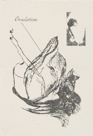 Рисунок 6