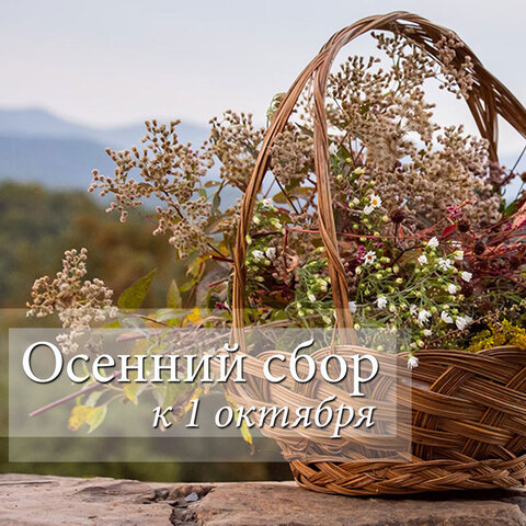 Сбор ко Дню пожилого человека (закрыт)