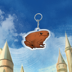 Акриловый брелок "Harry Potter: Trevor"