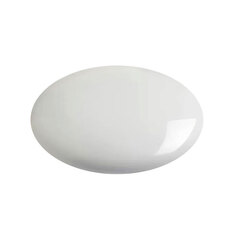 ArtCeram  ACA069 01 00 Крышка для донного клапана, Artceram, материал-керамика, цвет-белый глянцевый фото