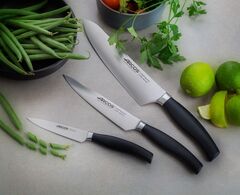Набор ножей кухонных 3 шт ARCOS Clara арт.212000