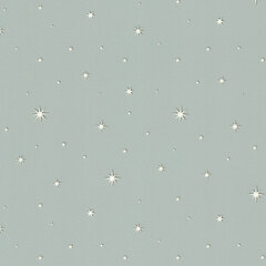 Обои 7393-23 lum* Perseids/Персеиды Euro Decor