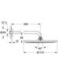GROHE Rainshower 26066GN0 Душ верхний с кронштейном