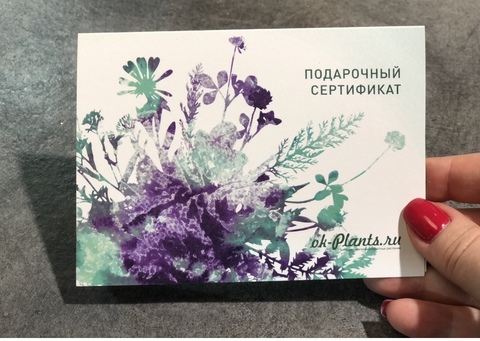 Подарочный Сертификат на 7000р