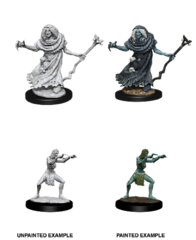D&D Nolzur's Marvelous Miniatures - Sea Hag & Bheur Hag