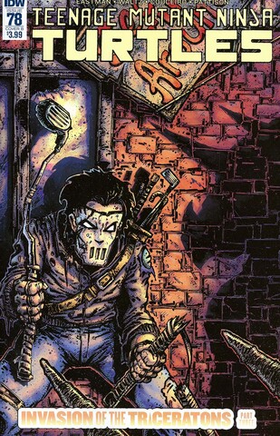 Teenage Mutant Ninja Turtles Vol 5 #78 (Cover B)