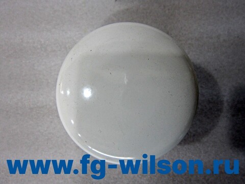 Фильтр топливный / FUEL FILTER АРТ: 10000-70161
