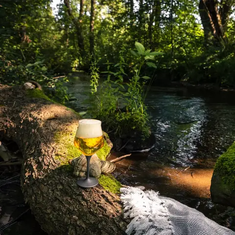 Набор из 2 бокалов для пива Craft Beer Experts 435 мл EISCH арт. 30020312