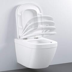 Унитаз Подвесной Безободковый Grohe Euro Ceramic 39206000