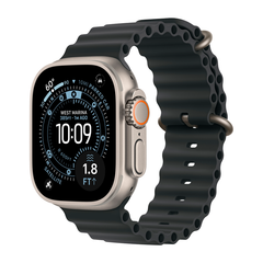 Умные часы Apple Watch Ultra 3 (2025) GPS + Cellular, 49mm, Natural Titanium Case with Black Ocean Band