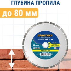 Диск алмазный сегментный ПРАКТИКА Мастер 230 х 22 мм (030-702)