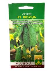 Огурец Желудь F1 (Манул)