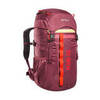 Tatonka Mani 20 туристический рюкзак детский bordeaux red - 1