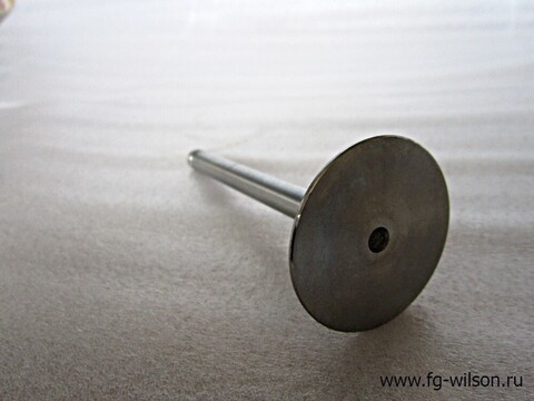 Клапан впускной / VALVE INLET АРТ: 905-026