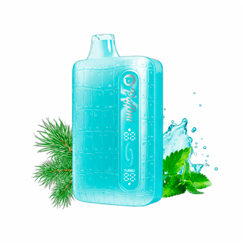 PUFFMI DURA 9000 PLUS - Мятная хвойная вода