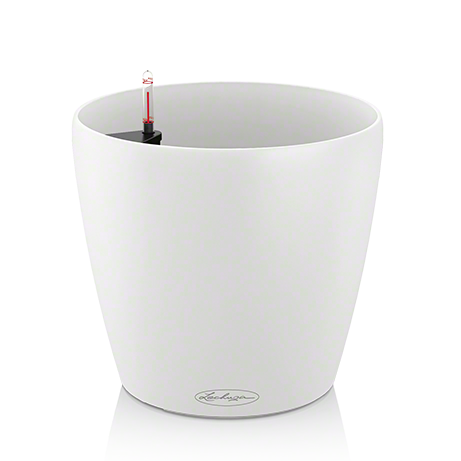 Lechuza Classico Color 35