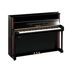 Yamaha JX113T PE SI / SG2