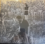 JESU / SUN KIL MOON: Jesu / Sun Kil Moon (Виниловая пластинка)