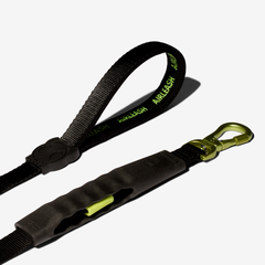 Амортизирующий поводок Air Neon 150 см Zee.Dog