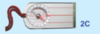 Moscompass 2  "Быстрая стрелка" спортивный компас - 3