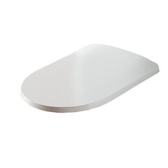 ArtCeram Monet MNA001 05 71 Крышка с сиденьем для унитаза, цвет: белый (матовый) фото