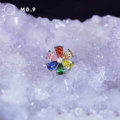 Flower Chamomile Rainbow-
