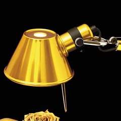 Настольная лампа Tolomeo Micro Table 0011860A золотой