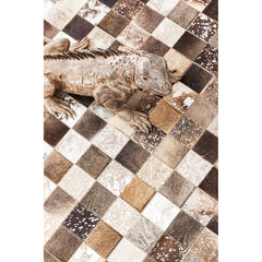 Ковер Cosmo Grey Fur 170x240 см