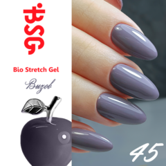 BSG №45 Вызов BSG №45 Вызов