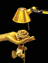 Настольная лампа Tolomeo Micro Table 0011860A золотой