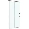 BelBagno SOFT_CLOSE-1-BF-1-100-C-GM Душевая дверь