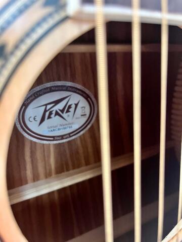 PEAVEY DW2 SOLID TOP
