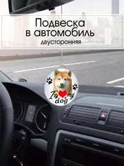 Подвеска в машину - Сиба-ину