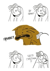 Тигр полетел