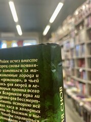 Эльфквест ElfQuest: Сага о лесных всадниках. Книга 8: Время снов (Б/У)