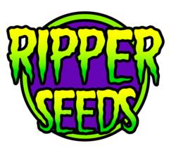 Sour Ripper fem