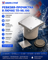 ТП 98.100 Лючок прочистка ревизия для труб Dn110 (ревизия канализационная) 101200319