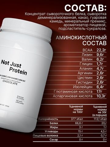 Протеин с шоколадом Not Just Protein 900 г