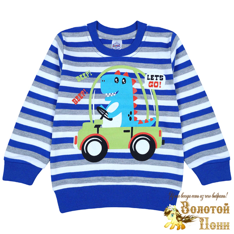 Джемпер хлопок мальчику (2-5) 230105-BK0782DJ.2