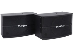 MadBoy Screamer 310