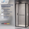 RGW 77124520-14 Душевой уголок 120*100*200 RGW LE-45-B Прямоуг./Чёрный/Прозрачное/6 мм (Easy)