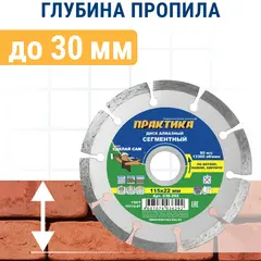 Диск алмазный сегментный ПРАКТИКА 