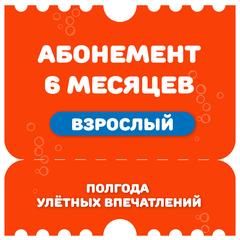 Взрослый абонемент на 6 месяцев на тариф "Безлимитный"