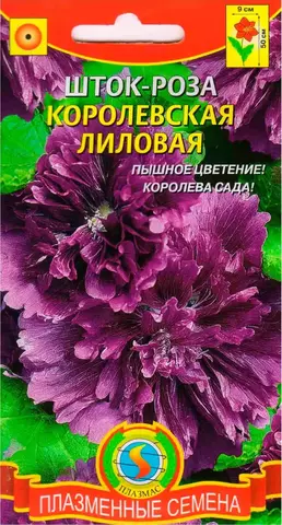 Семена Шток-Роза Королевская Лиловая