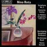 RUUD, OLE KRISTIAN / KOIVULA, HANNU: Symphony 3
