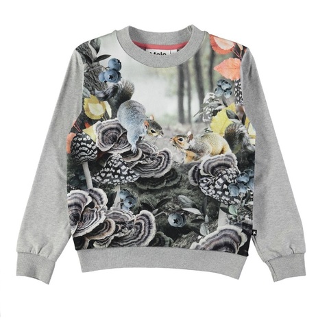 Джемпер Molo Regine Forest Squirrels