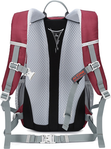 Картинка рюкзак городской Ai One 2173 Wine red - 2