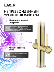 Смеситель Lemark Зенит Zenith LMF-1676S-BRGN для кухни с гибким изливом, с подключением к фильтру питьевой воды
